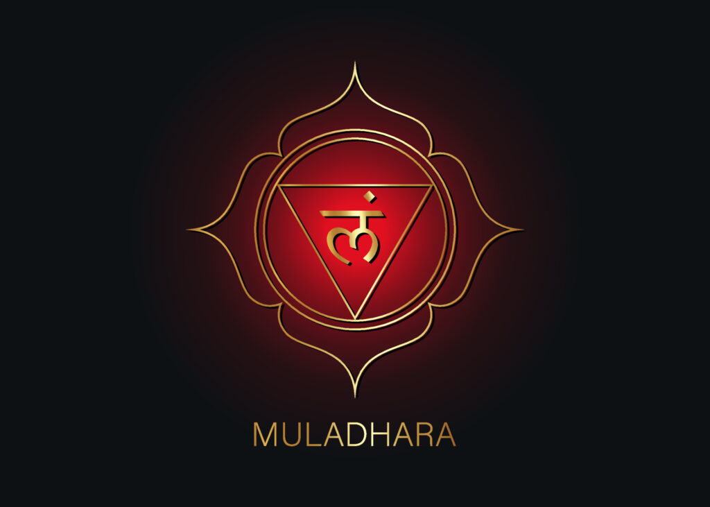 Les Chakras, 1er coccygien