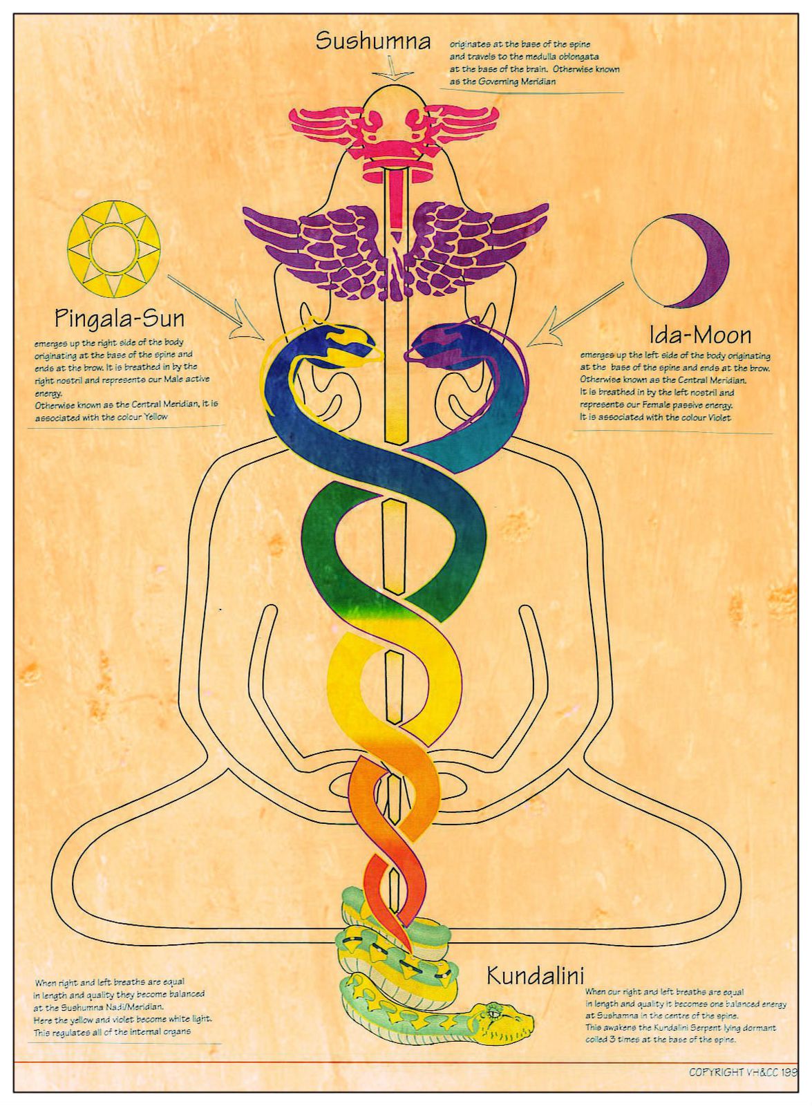 Montée de la Kundalini