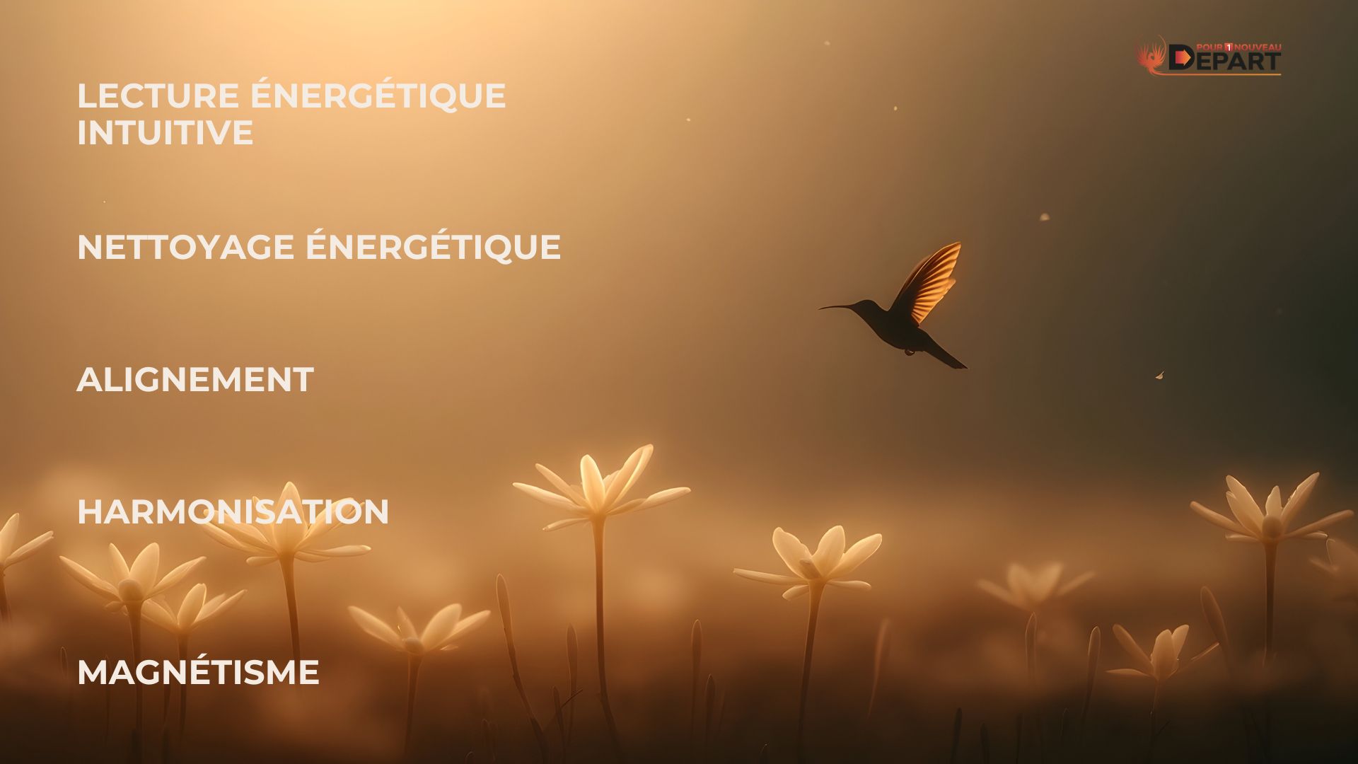 Différents soins et accompagnements énergétiques