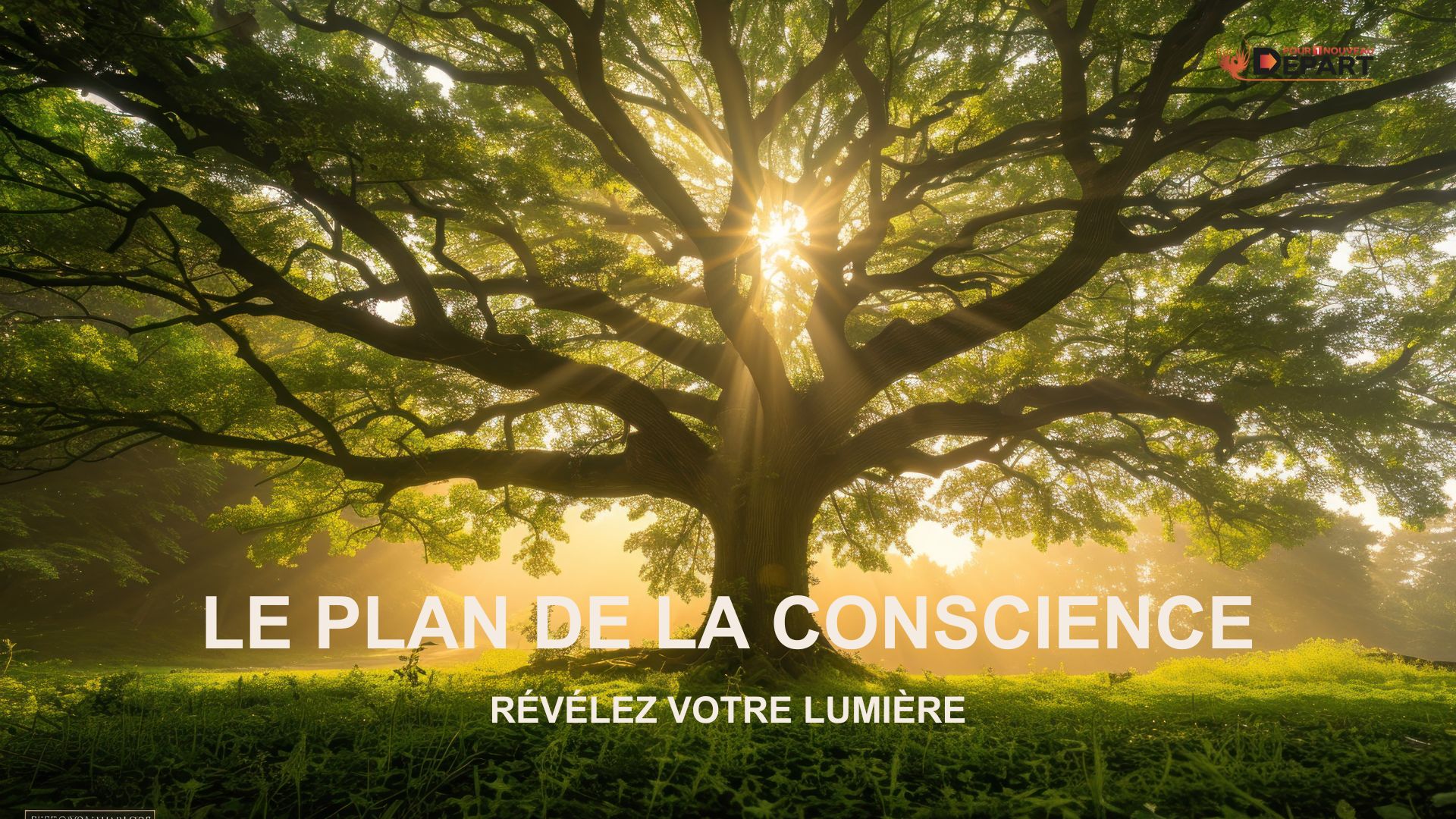 Soins et accompagnements : le plan de la conscience